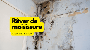 Rêver de moisissure: quelle signification?