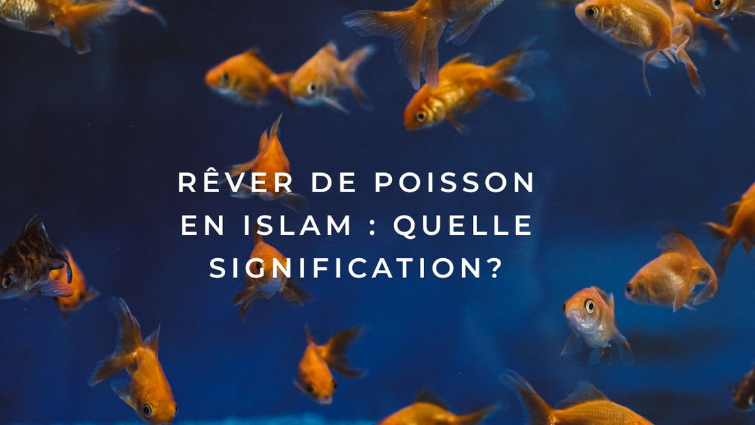 Rêver de poisson en islam : quelle signification?
