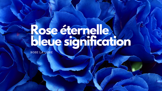Rose éternelle bleu signification