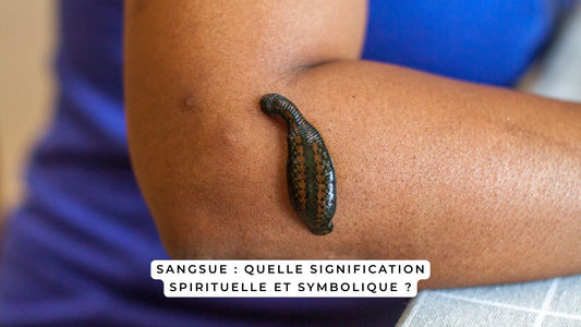 Sangsue : quelle signification spirituelle et symbolique ?
