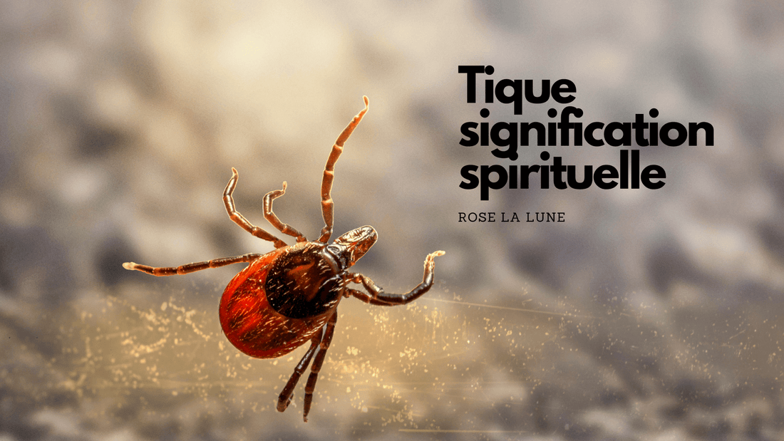 Tique signification spirituelle