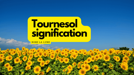 Quelle est la signification du Tournesol?