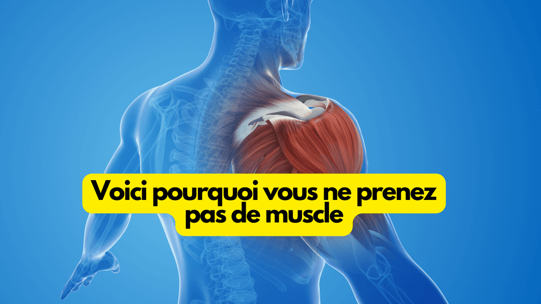 Voici pourquoi vous ne prenez pas de muscle