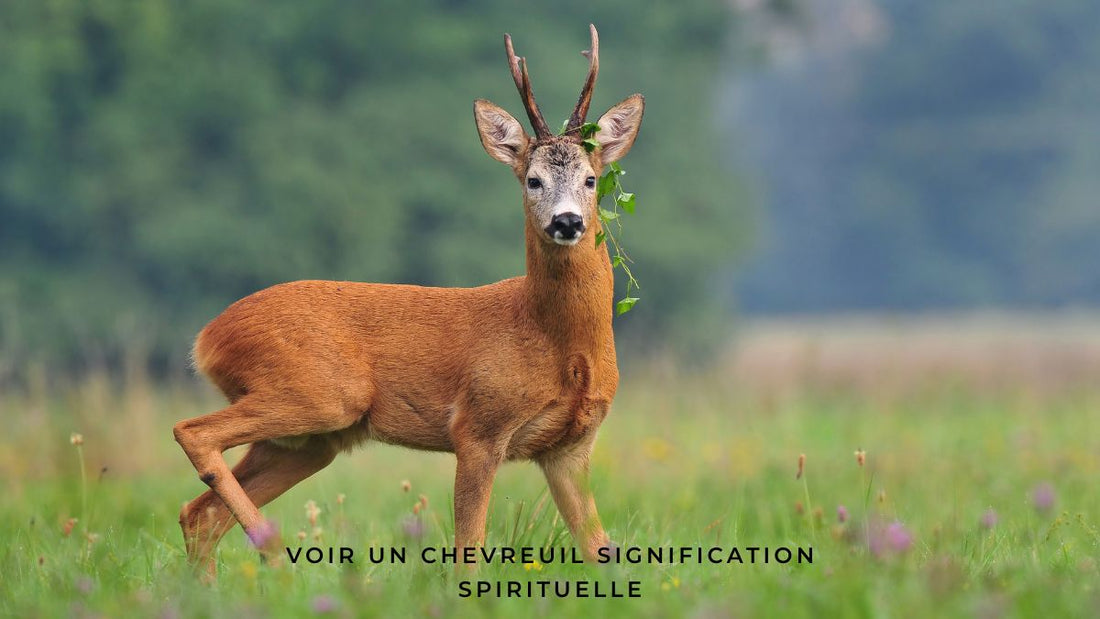 Voir un chevreuil signification spirituelle