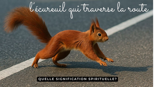 Voir un écureuil traverser la route signification spirituelle