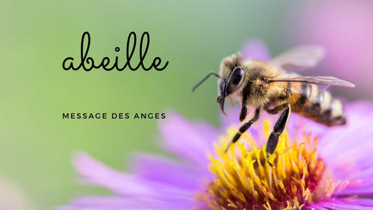 Abeille message des anges