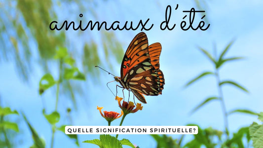Animaux d'été: entre siestes brûlantes et silences stratégiques