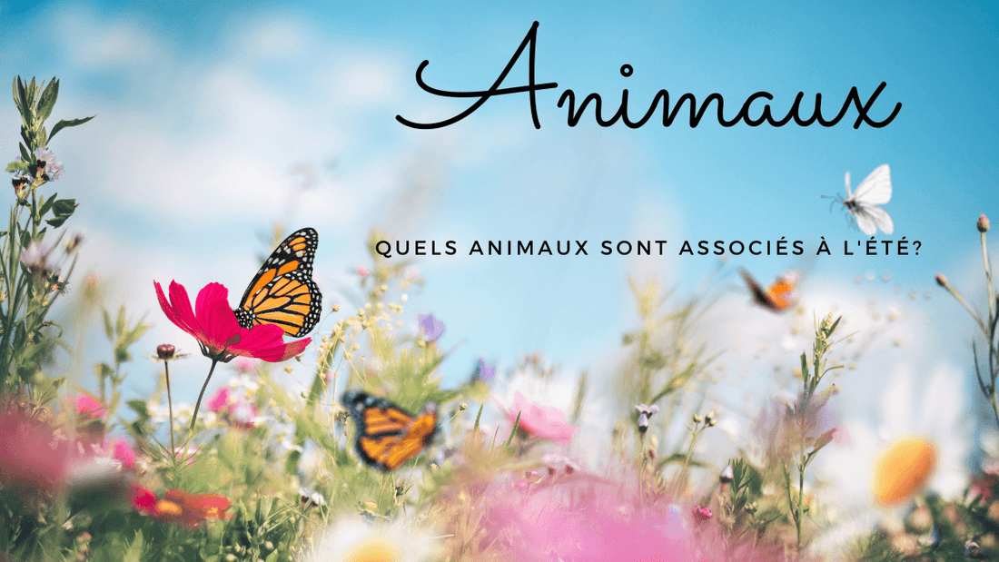 Quels animaux sont associés à l'été?