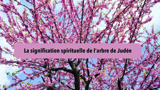 arbre de judée signification spirituelle