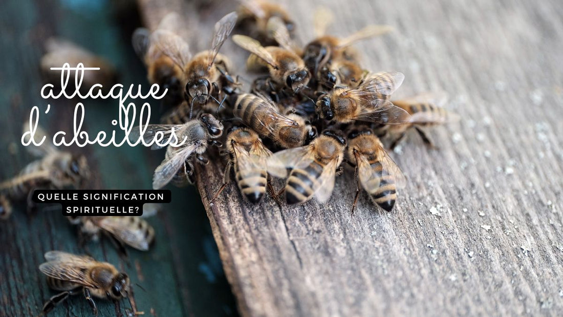 Attaque d’abeilles, quelle signification spirituelle ?