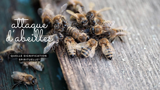 Attaque d’abeilles, quelle signification spirituelle ?