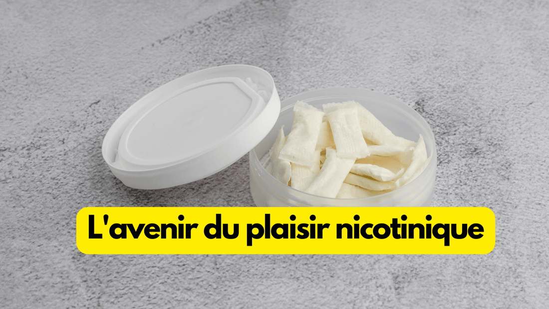L'avenir du plaisir nicotinique : approches novatrices sans tabac - La nouvelle ère des produits à base de nicotine