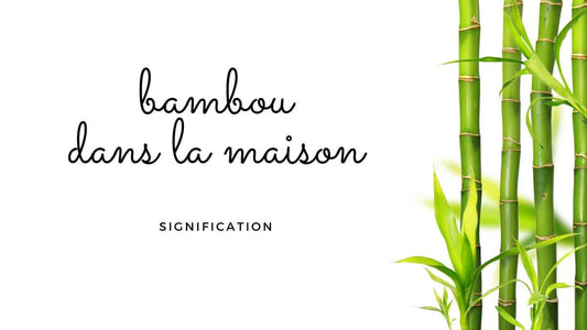 Bambou dans la maison signification