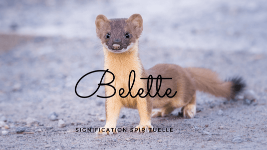 Belette signification spirituelle
