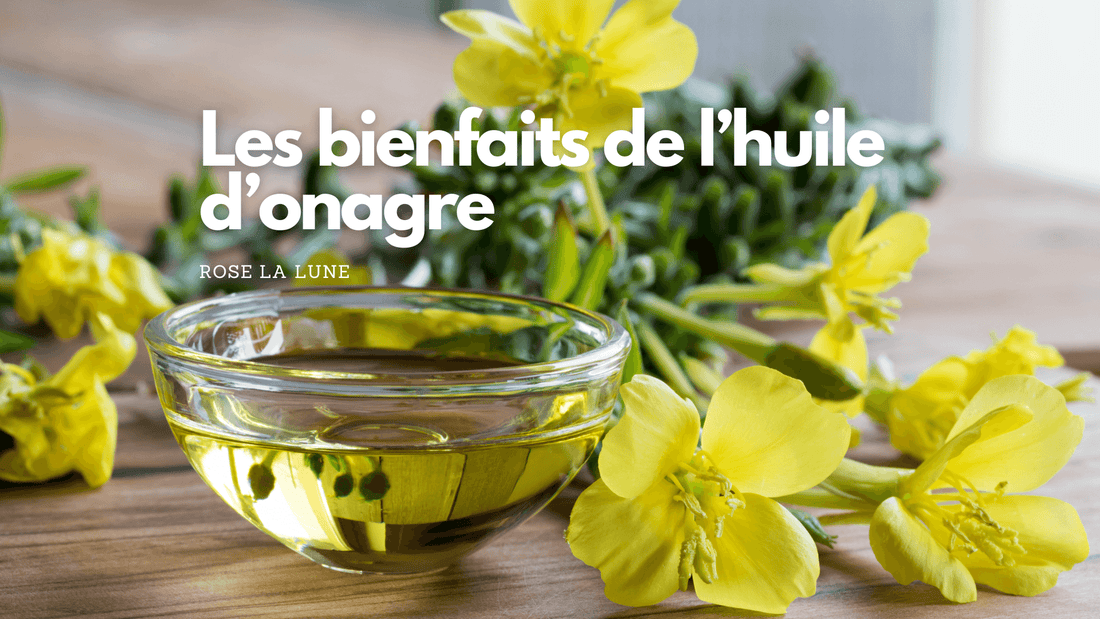 Huile d'onagre bienfaits