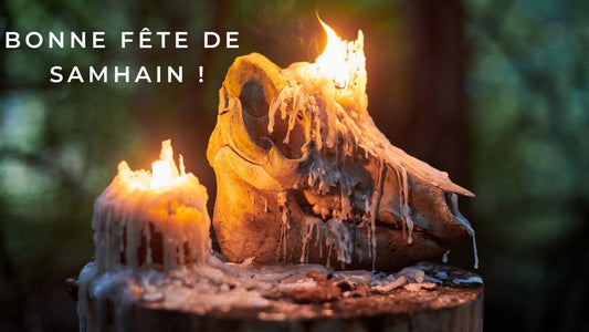 Bonne fête de Samhain 2025! 20 idées de messages à envoyer