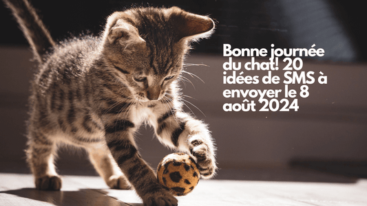 Bonne journée du chat! 20 idées de SMS à envoyer le 8 août 2024