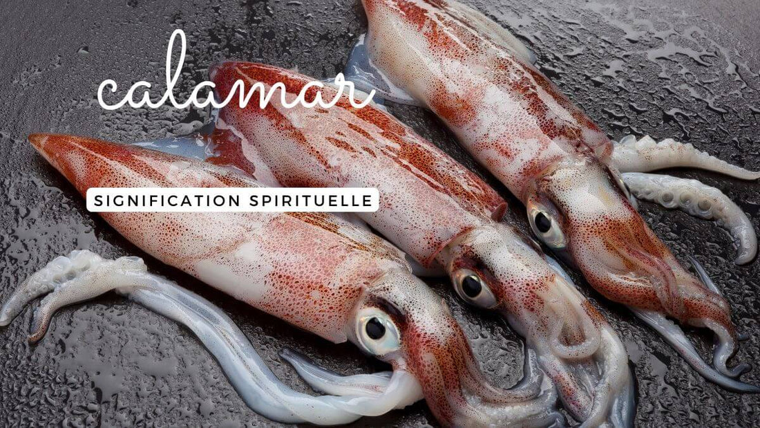 Calamar signification spirituelle