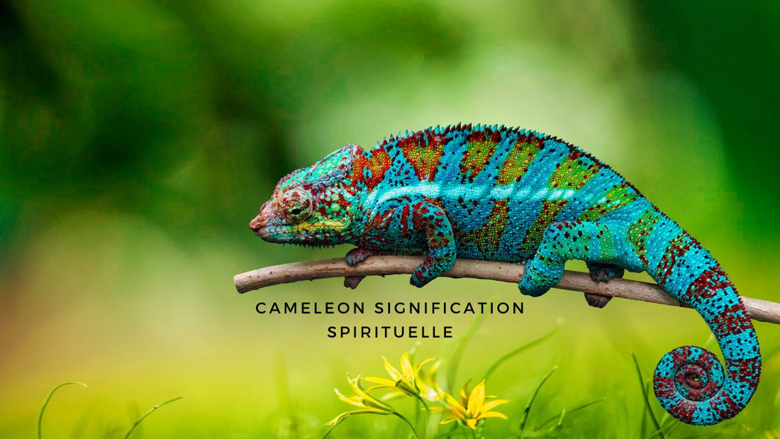 Caméléon signification spirituelle