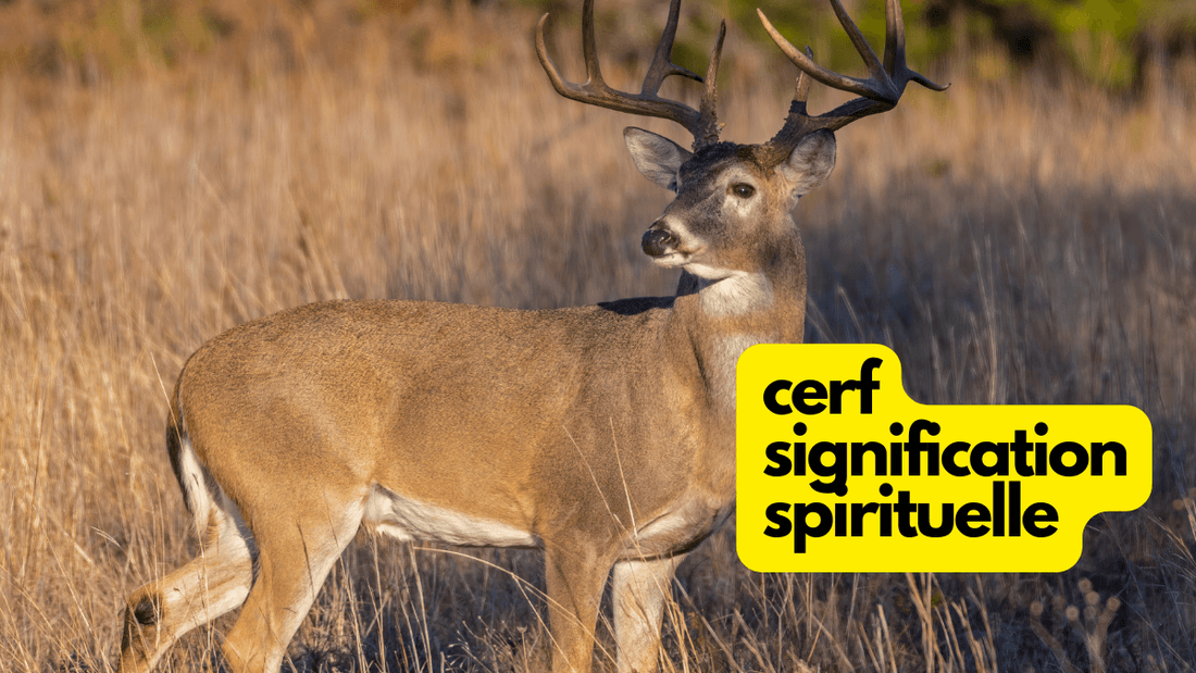 Quelle est la signification spirituelle du cerf?