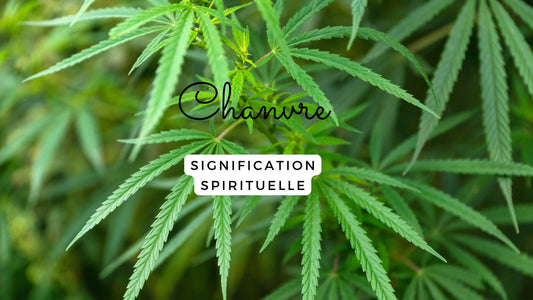 La signification spirituelle du chanvre