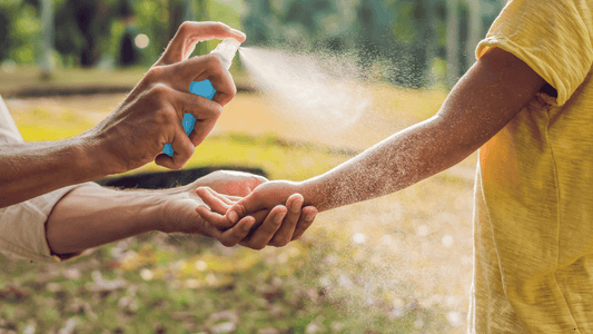 Chasse aux moustiques : solutions naturelles pour un été sans piqûres