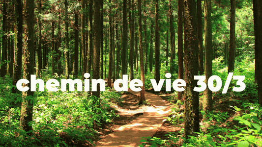 chemin de vie 30/3