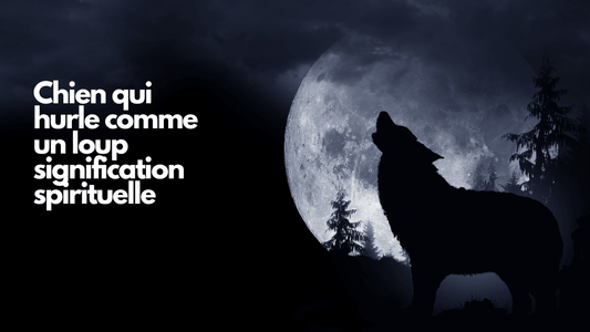 Chien qui hurle comme un loup signification spirituelle