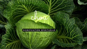 Chou signification spirituelle