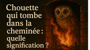Chouette qui tombe dans la cheminée: quelle signification?
