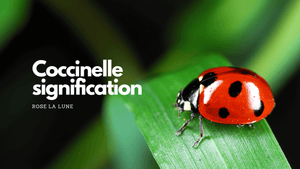 Quelles sont les significations de la Coccinelle?