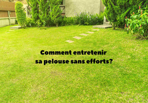 Entretenir sa pelouse en toute simplicité : comment préserver une belle pelouse même quand on est très occupé