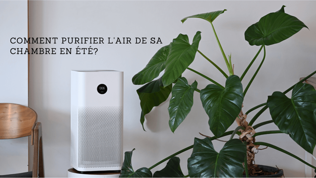 Comment purifier l'air de sa chambre en été?