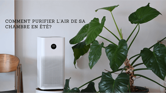 Comment purifier l'air de sa chambre en été?