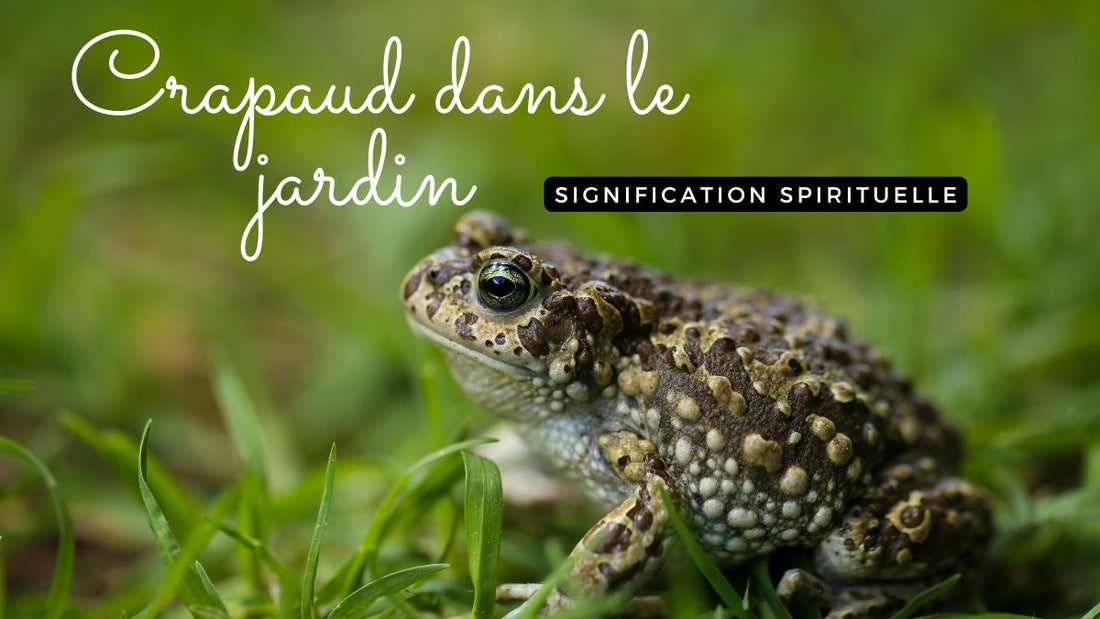 Crapaud dans le jardin signification spirituelle