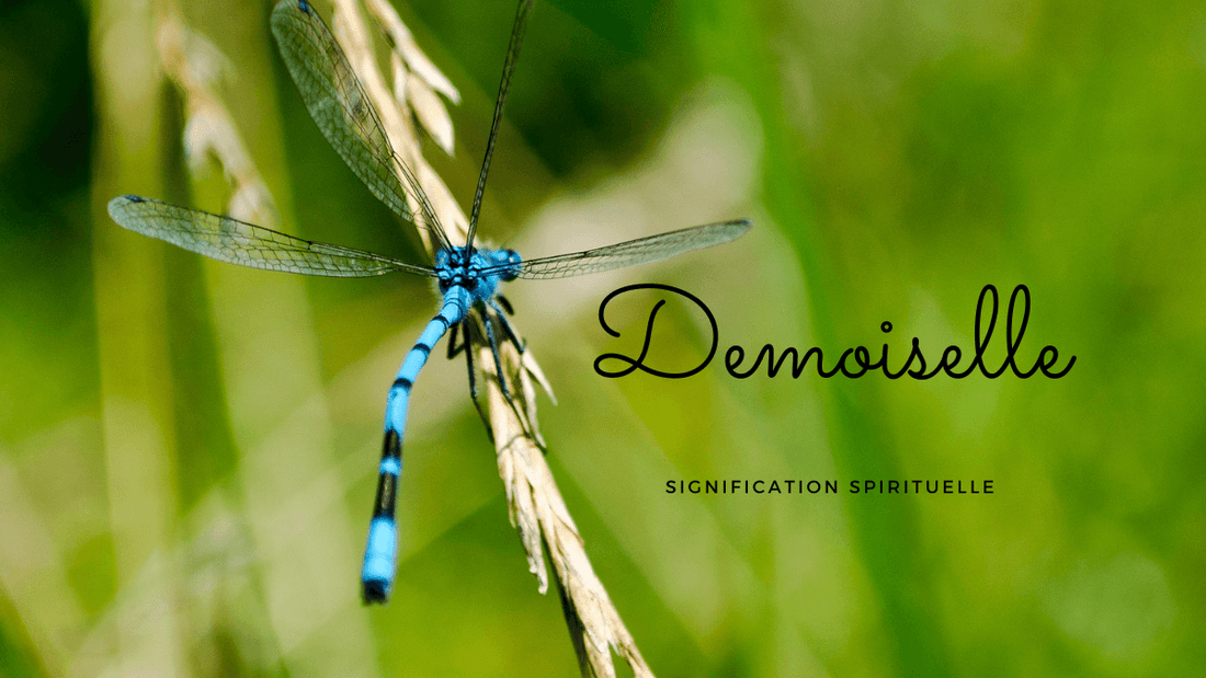 Demoiselle signification spirituelle