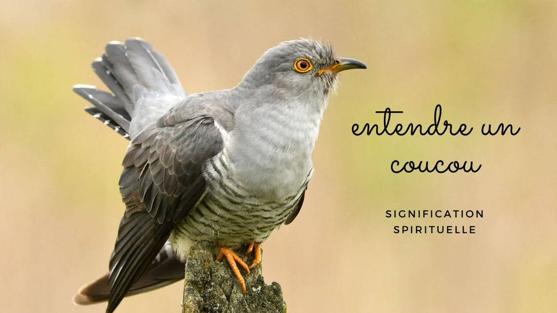 Entendre un coucou signification spirituelle