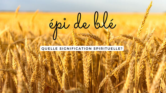 L’épi de blé : quelle signification spirituelle?
