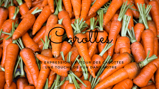 Les expressions autour des carottes : une touche de fun dans notre quotidien !