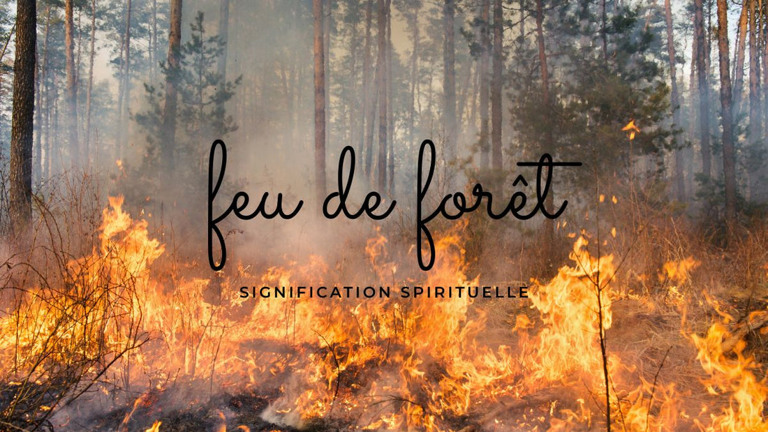 Feu de forêt: quelle signification spirituelle?