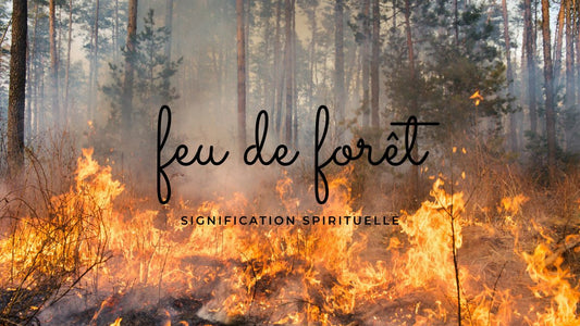 Feu de forêt: quelle signification spirituelle?