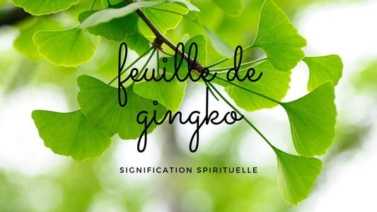 Feuille de gingko signification spirituelle