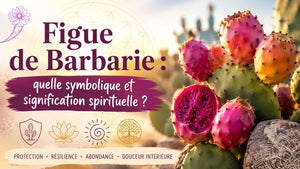 Figue de Barbarie : quelle symbolique et signification spirituelle ?