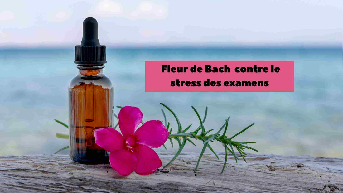 fleur de bach stress examen​ 