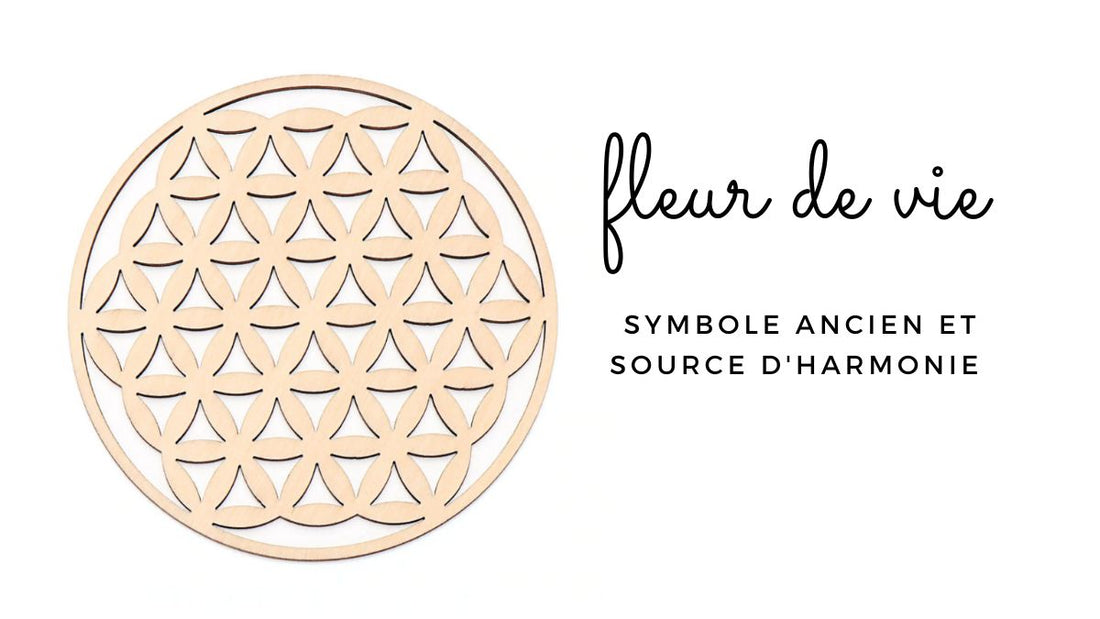 La Fleur de Vie: symbole ancien et source d'harmonie