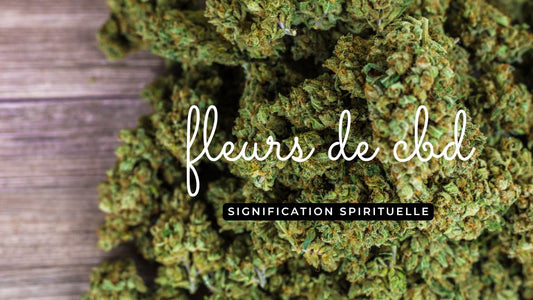 Fleurs de CBD: quelle signification spirituelle?
