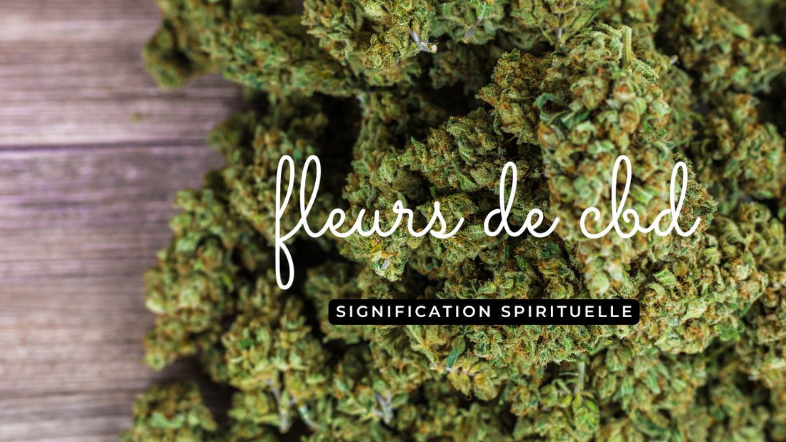 Fleurs de CBD: quelle signification spirituelle?