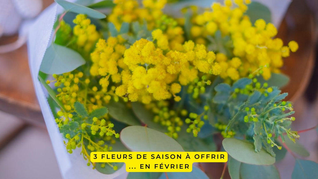3 fleurs de saison à offrir en février
