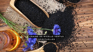 Graine de nigelle vertus spirituelles