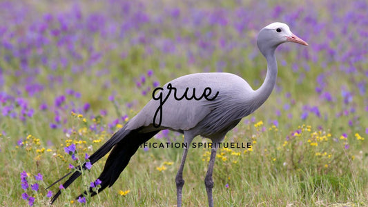 Grue signification spirituelle